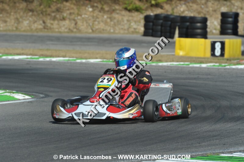 DSC_ (1136).JPG